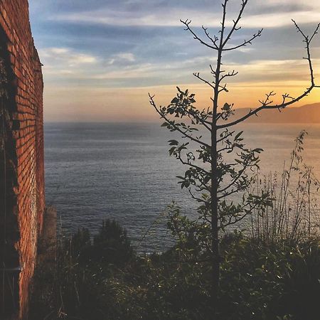 Mar Art Sapri Otel Dış mekan fotoğraf